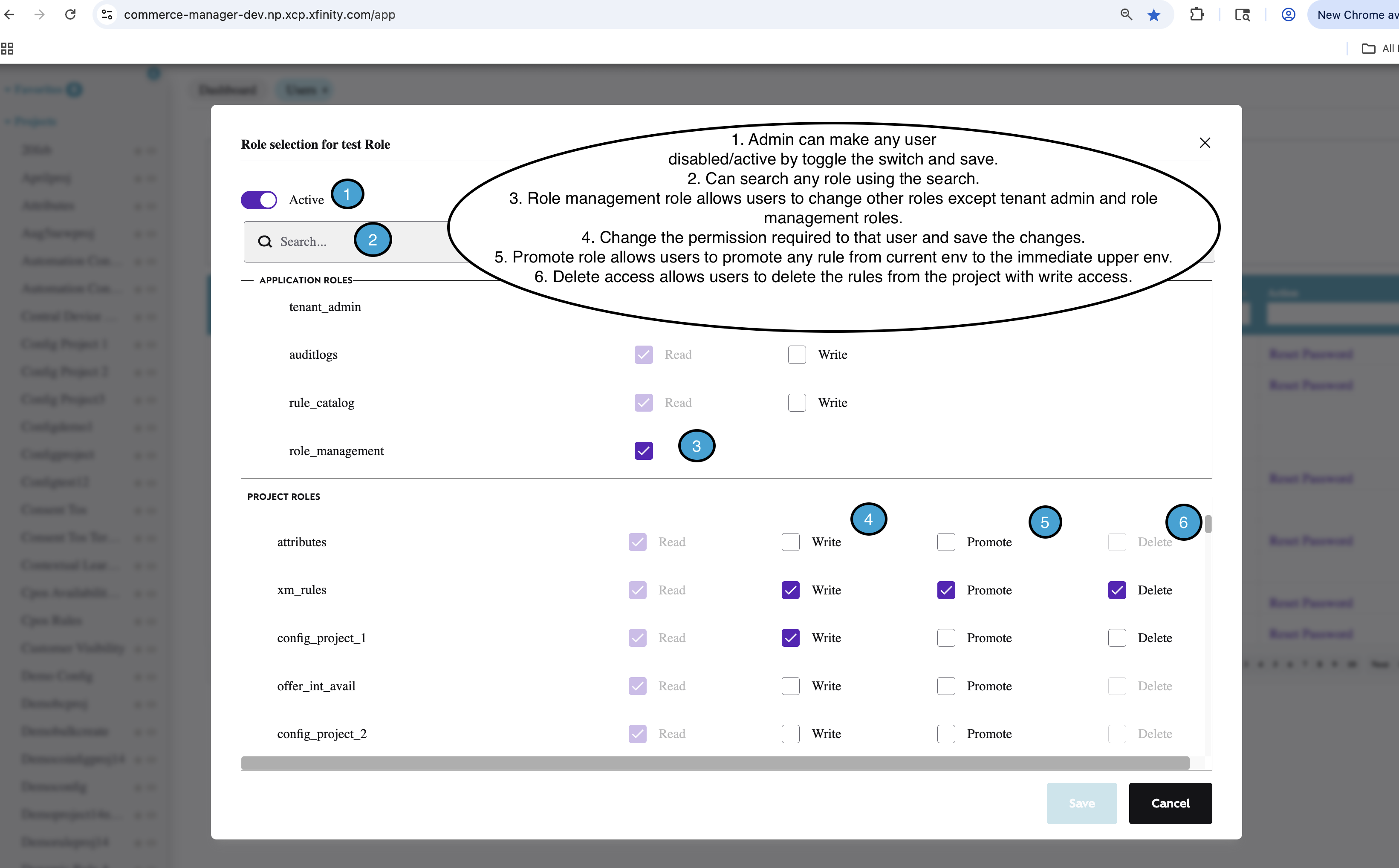 User Dashboard Read 